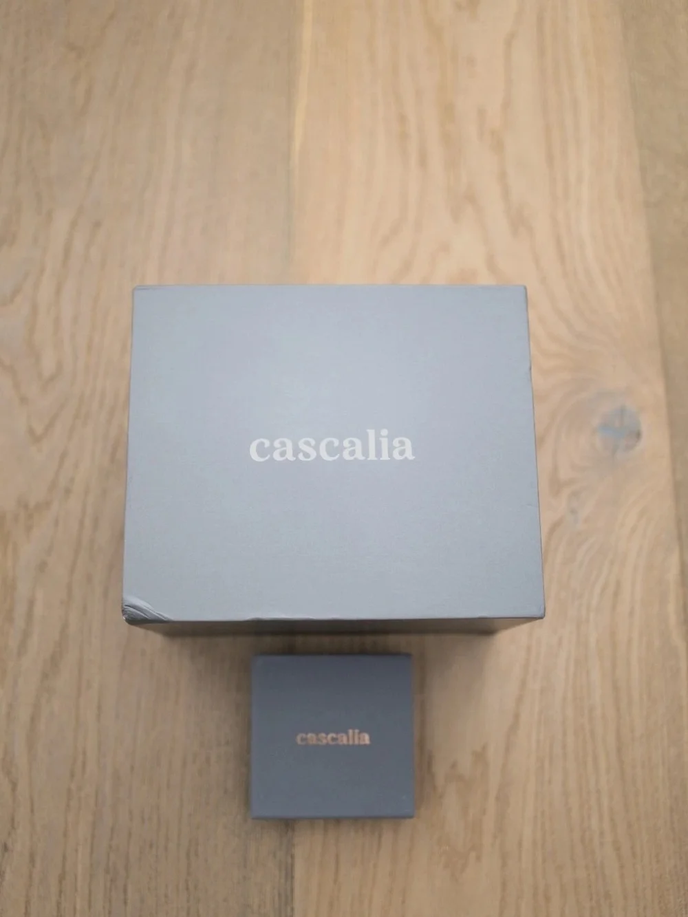 Cascalia Arco Steel Quartz Watch with Multiple Straps
